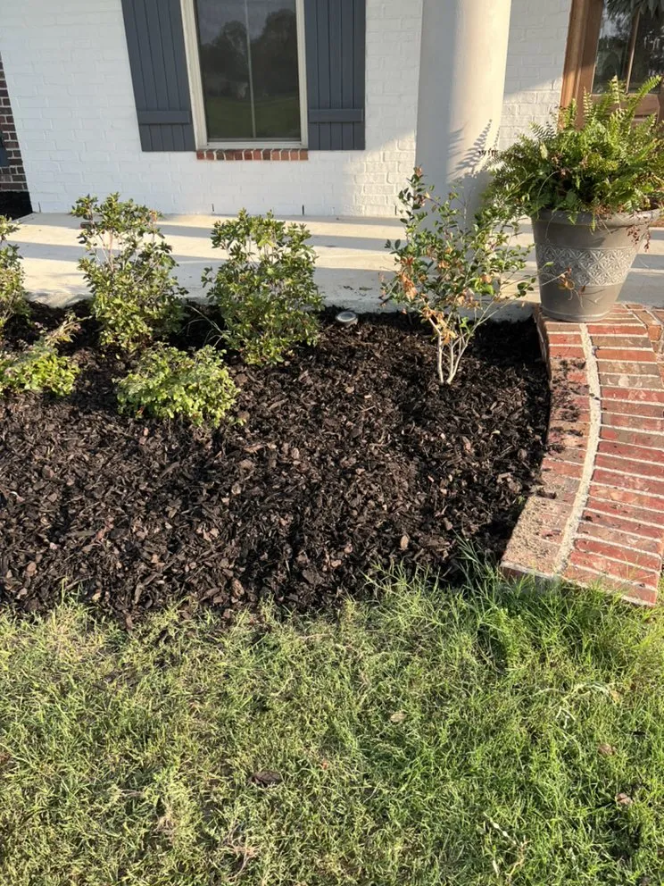 Affordable yard cleanup service experts serving Kinder, LA - Trystan’s Odd Jobs and Pressure Washing