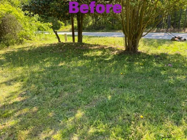 Top-rated outdoor landscaping in Fayetteville, NC by T&S Affordable Lawn Care