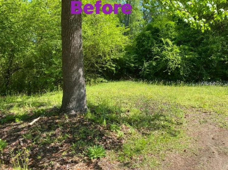 Professional landscaping services experts serving Fayetteville, NC - T&S Affordable Lawn Care