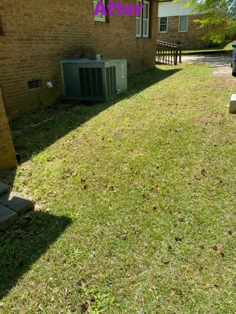 Trusted landscaping services near you in Fayetteville, NC by T&S Affordable Lawn Care