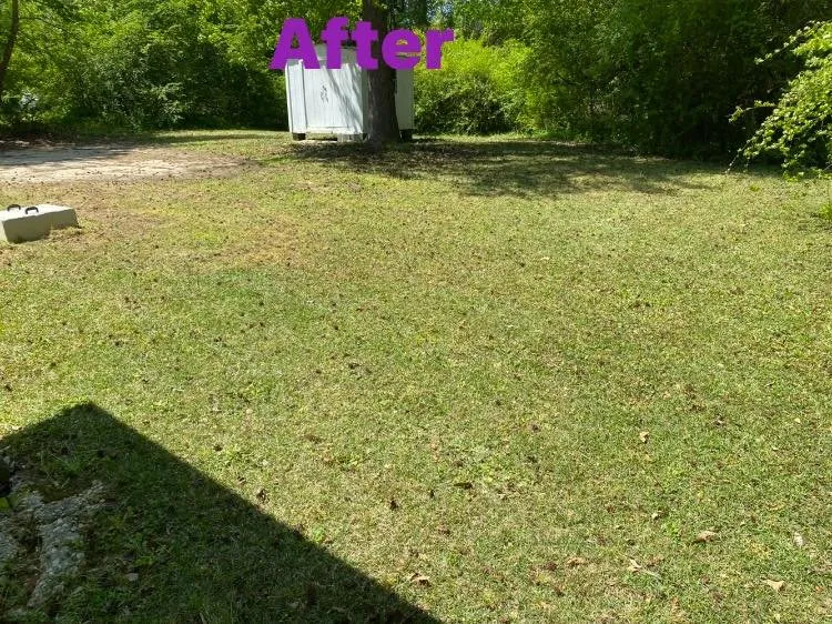 Top-rated residential landscaping near you in Fayetteville, NC by T&S Affordable Lawn Care