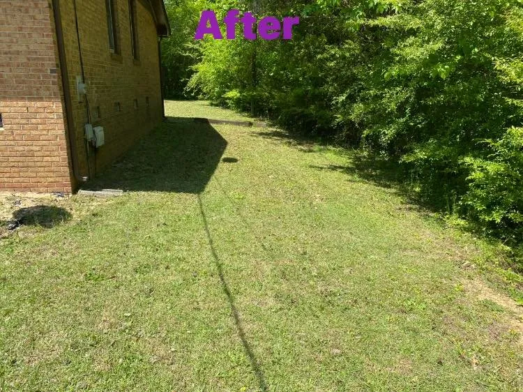 Trusted landscaping services for residential properties across Fayetteville, NC - T&S Affordable Lawn Care