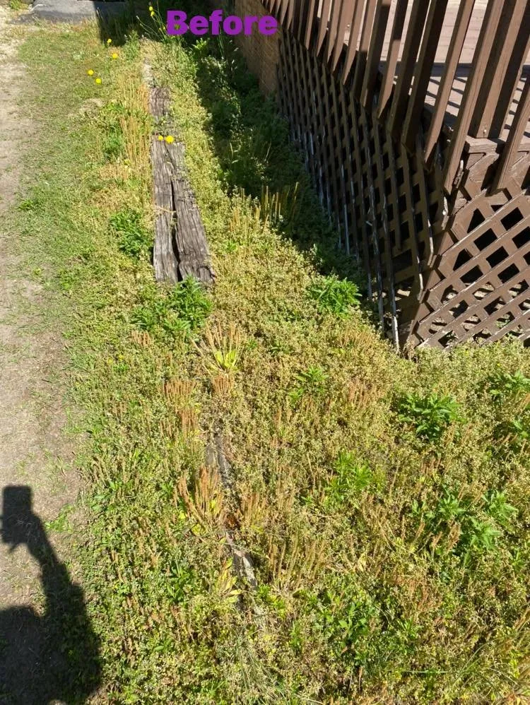 Reliable residential landscaping in Fayetteville, NC - T&S Affordable Lawn Care