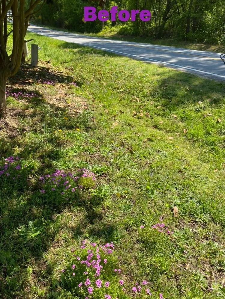 Reliable yard cleanup service experts serving Fayetteville, NC - T&S Affordable Lawn Care