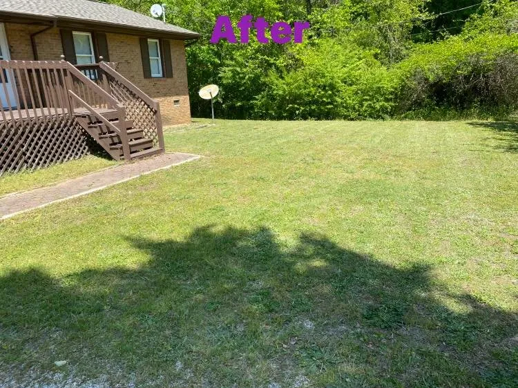 Expert lawn care service in Fayetteville, NC - T&S Affordable Lawn Care