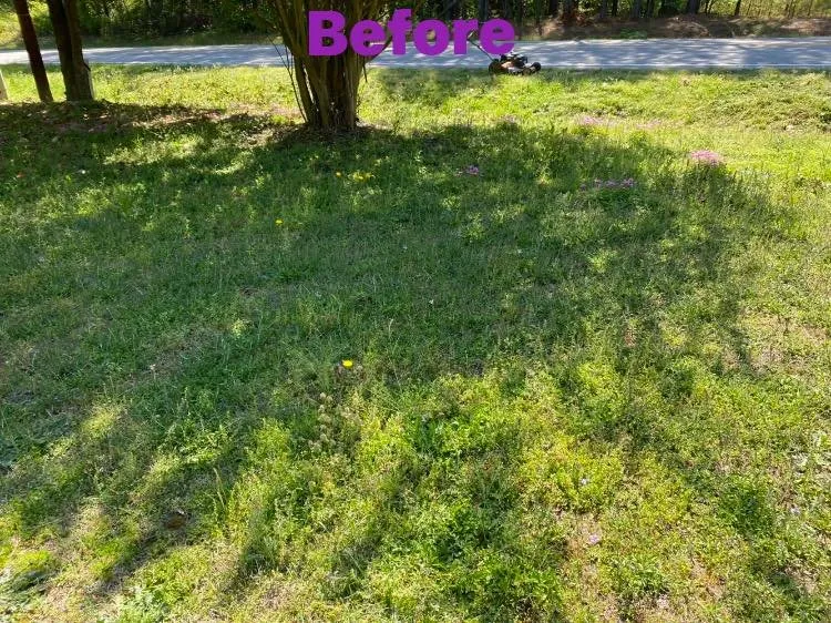 Expert lawn mowing service in Fayetteville, NC - T&S Affordable Lawn Care