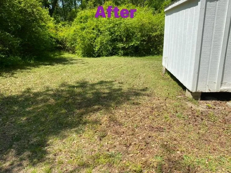 Expert lawn mowing service experts serving Fayetteville, NC - T&S Affordable Lawn Care