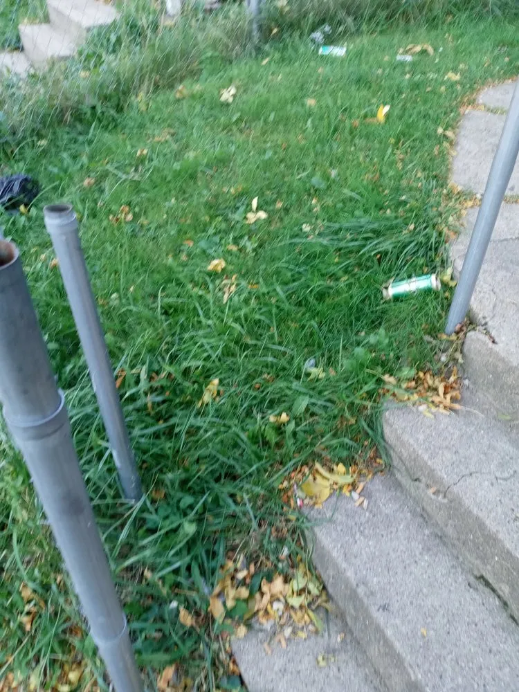 Professional lawn care service in Milwaukee, WI by T's Environmental Service