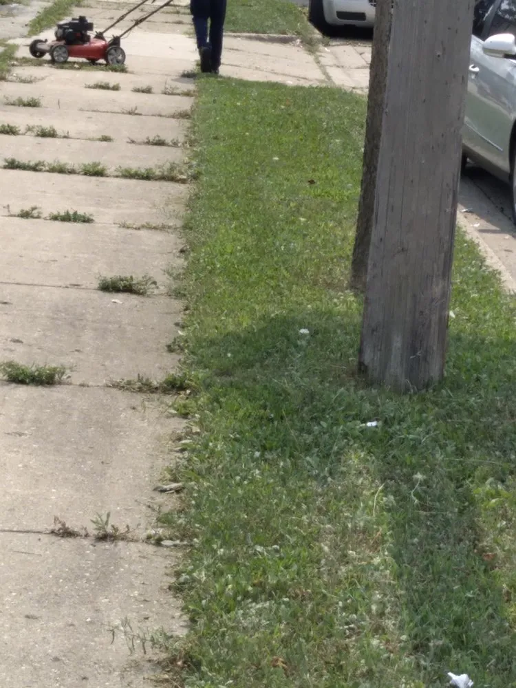 Professional garden landscaping for year-round maintenance across Milwaukee, WI - T's Environmental Service