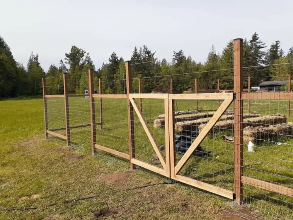 Trusted yard cleanup service in Marysville, WA by T&S Fences And Decks