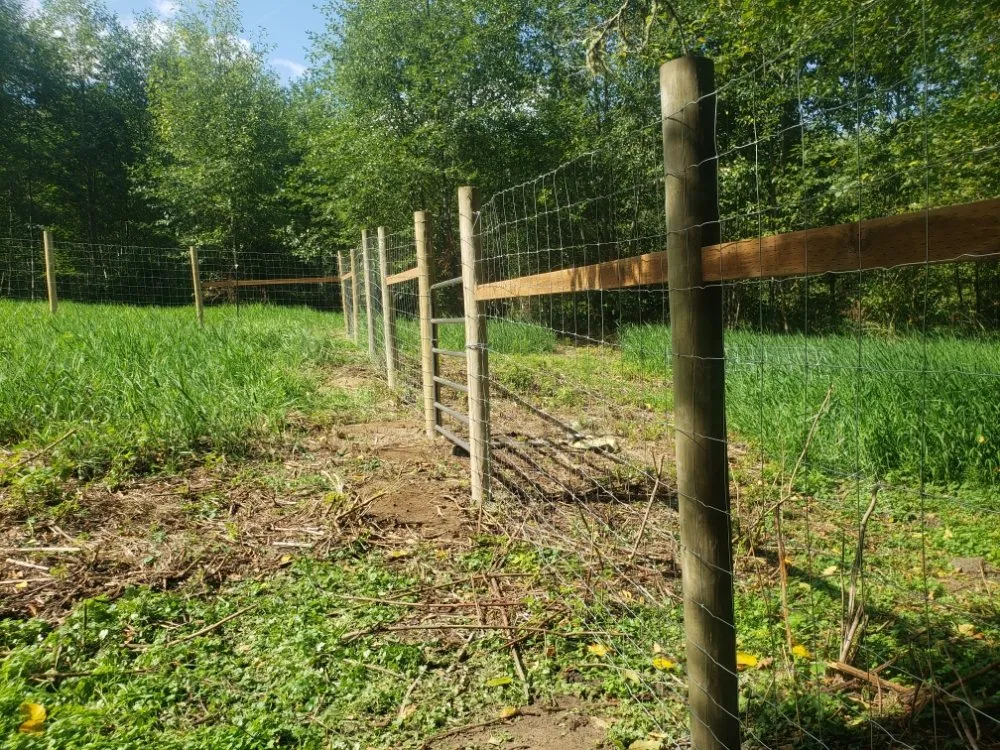 Expert landscape design for beautiful yards across Marysville, WA - T&S Fences And Decks