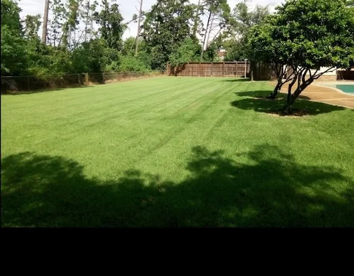 Affordable lawn care service in Sparta, TN by T&S Home Maintenance and Small Repairs