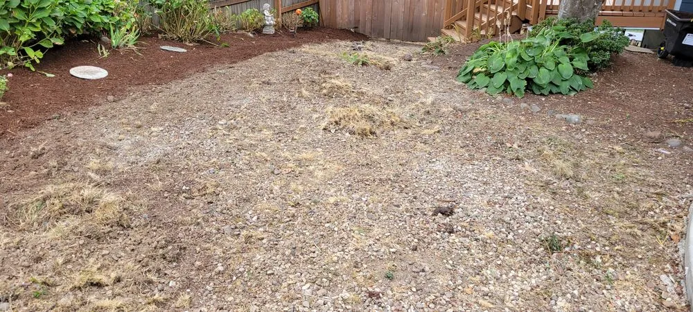 Top-rated residential landscaping experts serving Milwaukie, OR - T's Land Labor