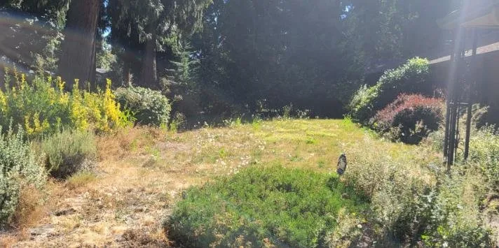 Affordable garden landscaping in Milwaukie, OR by T's Land Labor