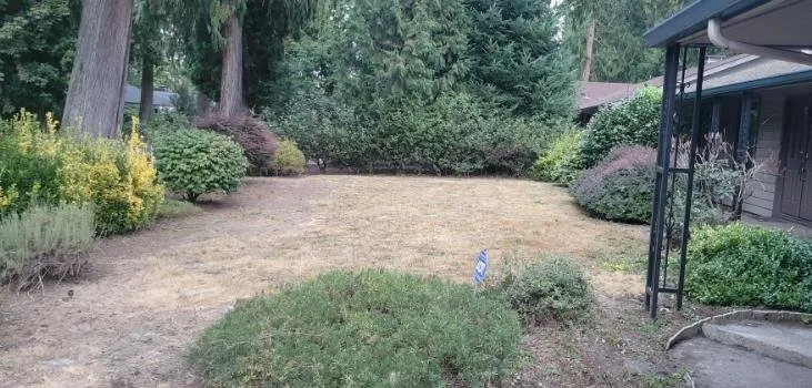 Expert lawn care service for residential properties across Milwaukie, OR - T's Land Labor