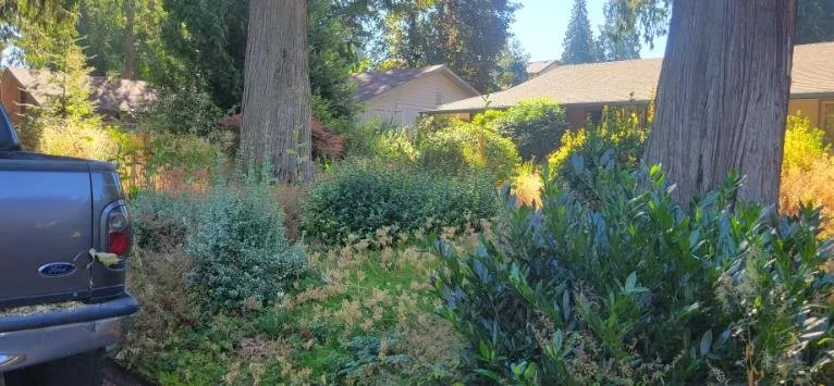 Expert residential landscaping experts serving Milwaukie, OR - T's Land Labor