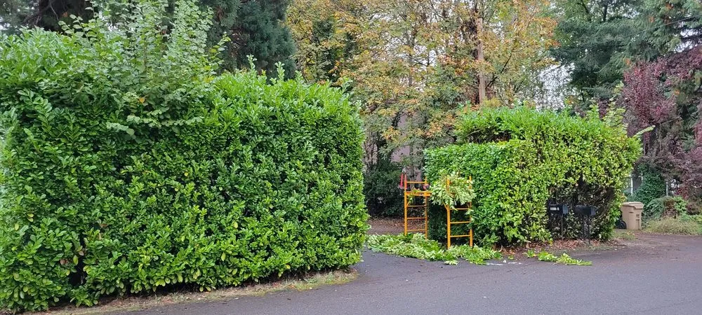 Trusted landscape design with custom design across Milwaukie, OR - T's Land Labor