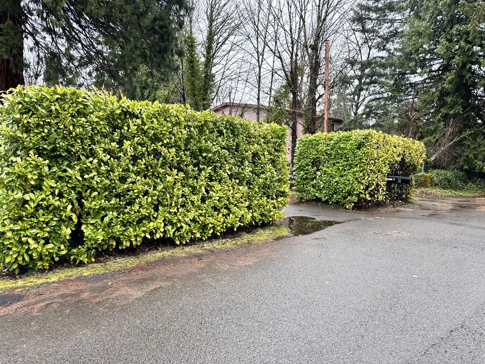 Top-rated yard maintenance in Milwaukie, OR - T's Land Labor