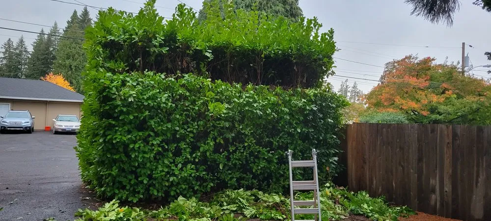 Expert residential landscaping near you in Milwaukie, OR by T's Land Labor