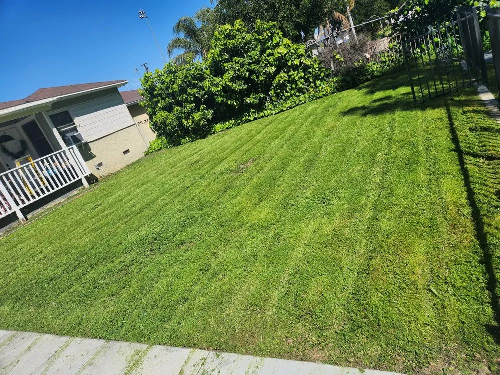 Reliable outdoor landscaping in San Bernardino, CA - T's Landscape