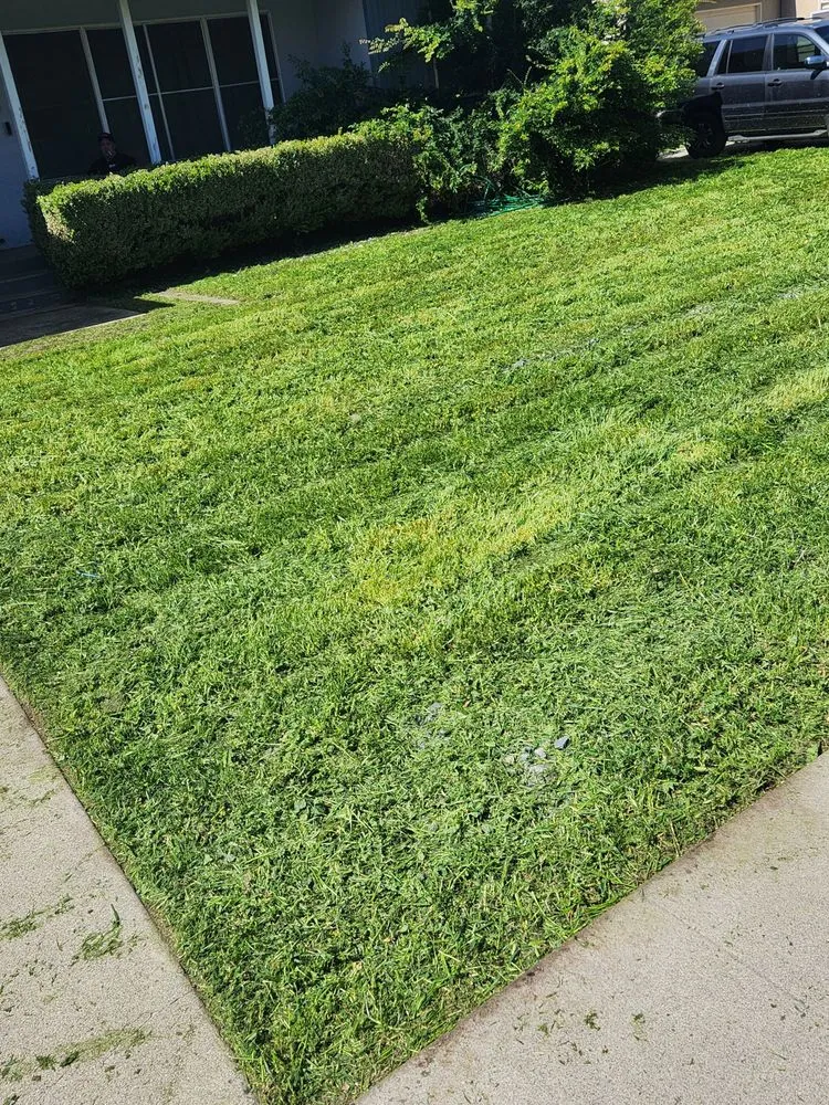 Top-rated outdoor landscaping experts serving San Bernardino, CA - T's Landscape