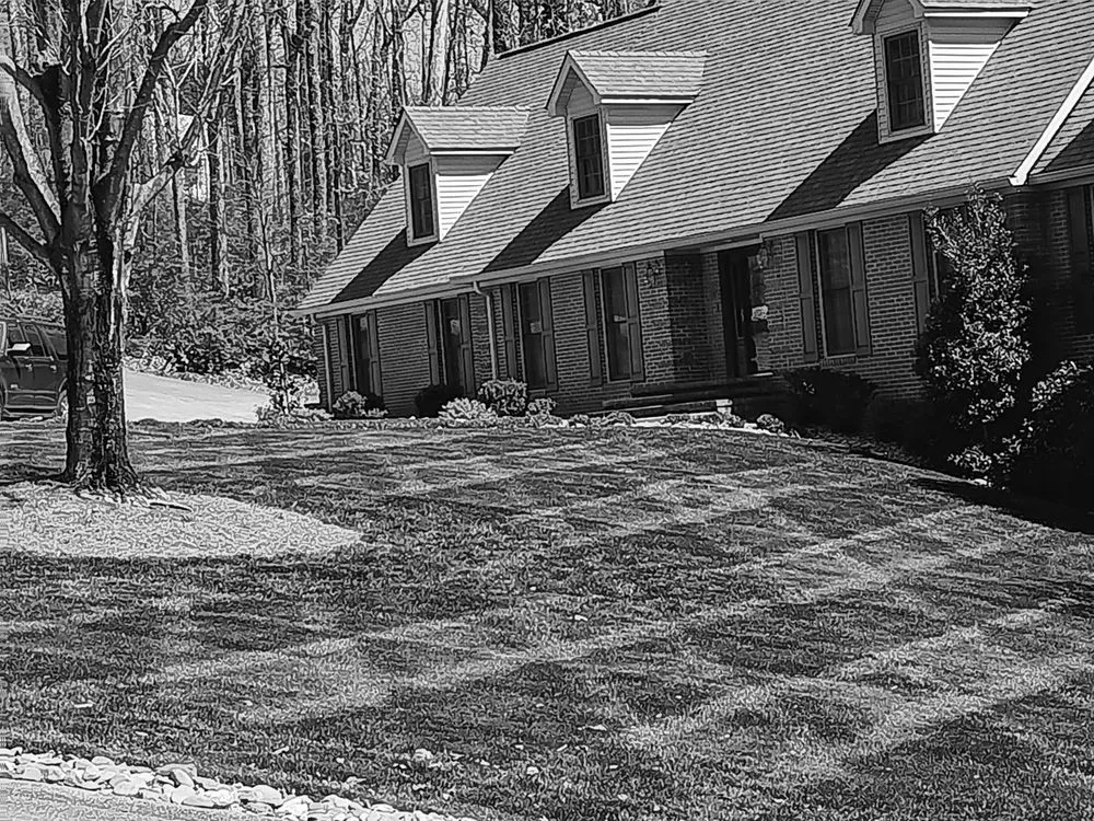 Expert yard maintenance in Greeneville, TN - T's Landscaping & More