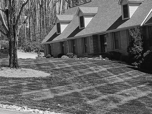 T's Landscaping & More Logo