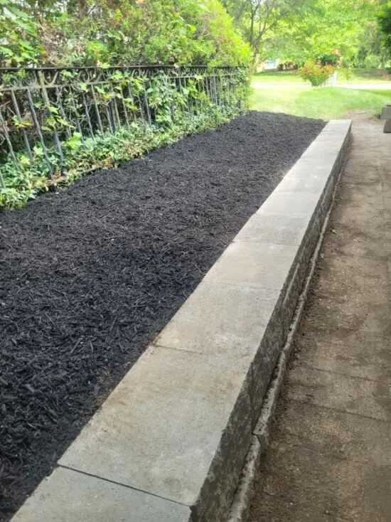 Professional lawn care service near you in Cameron, MO by T's Landscaping