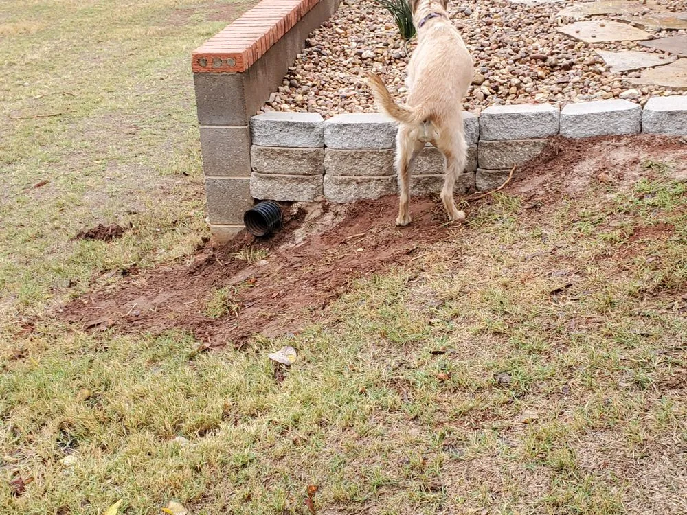 Expert yard maintenance in Edmond, OK by T&S Landscaping