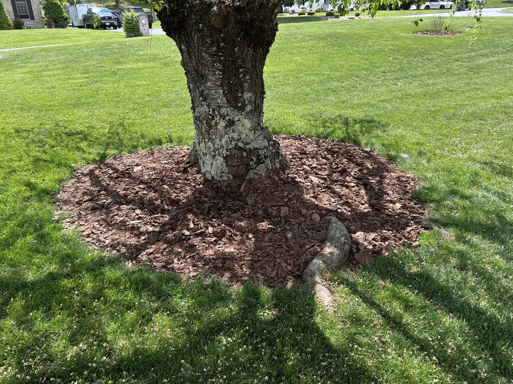 Expert landscape design experts serving Gray, TN - T’s Landscaping