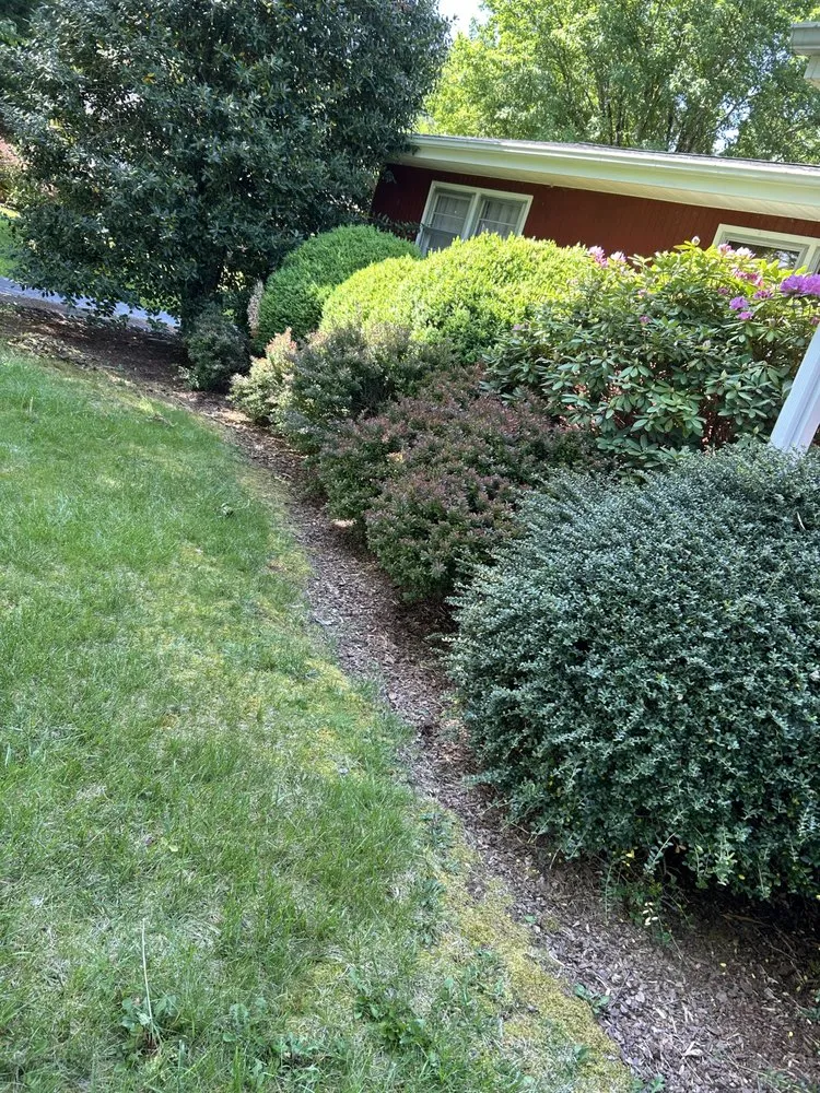 Custom yard maintenance experts serving Gray, TN - T’s Landscaping