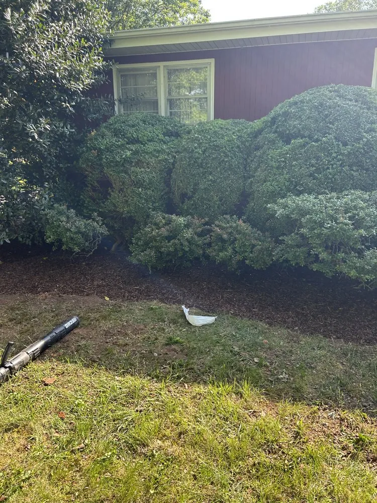 Top-rated yard cleanup service in Gray, TN - T’s Landscaping