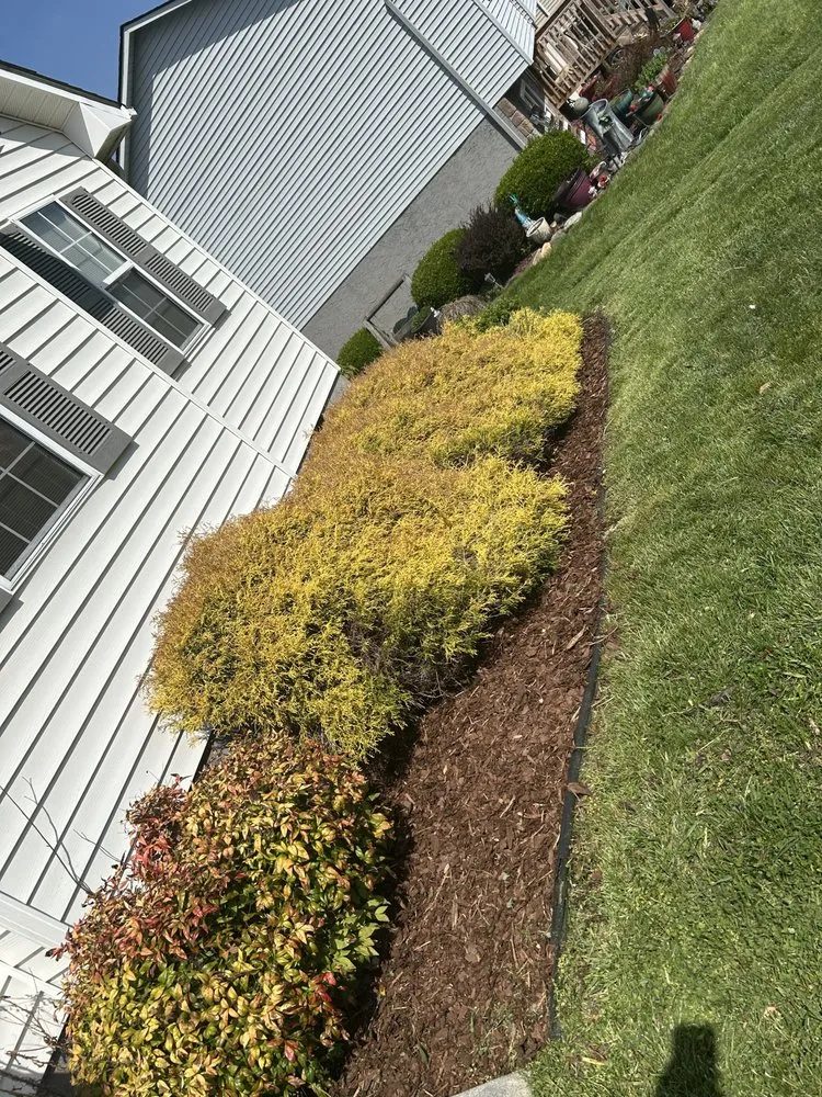 Local landscape design in Gray, TN - T’s Landscaping