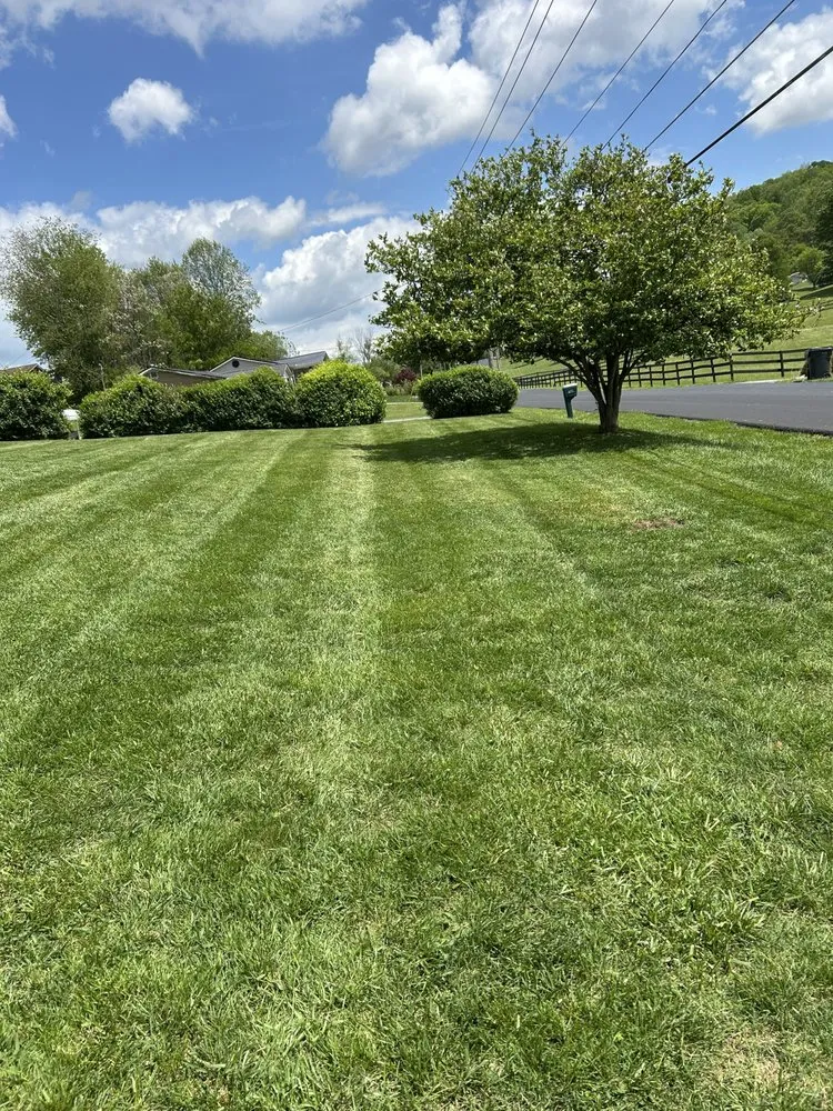Expert yard cleanup service experts serving Gray, TN - T’s Landscaping