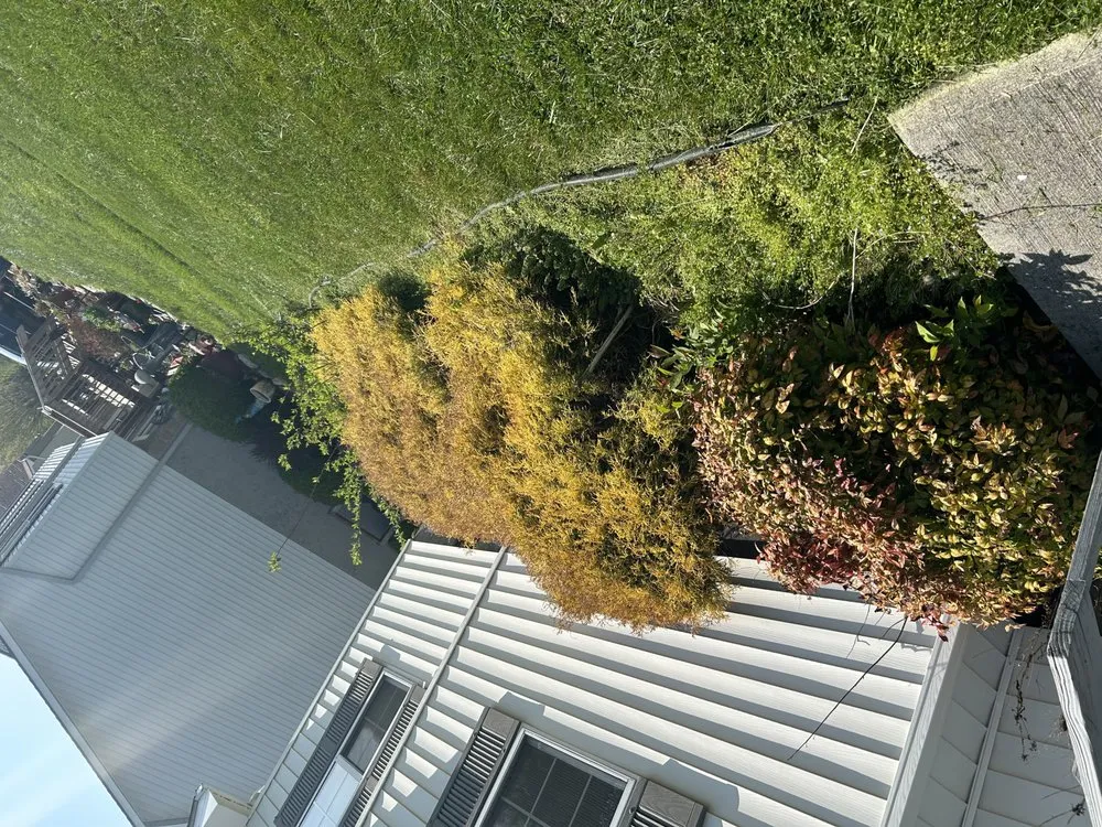 Expert lawn mowing service in Gray, TN - T’s Landscaping