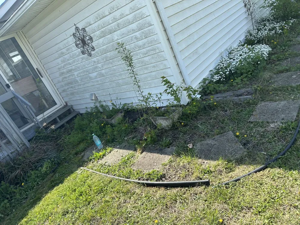 Expert yard maintenance for beautiful yards in Gray, TN by T’s Landscaping