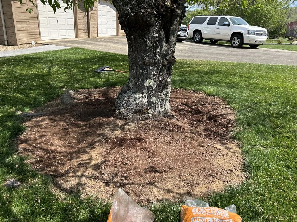 Custom landscape design for outdoor upgrades across Gray, TN - T’s Landscaping