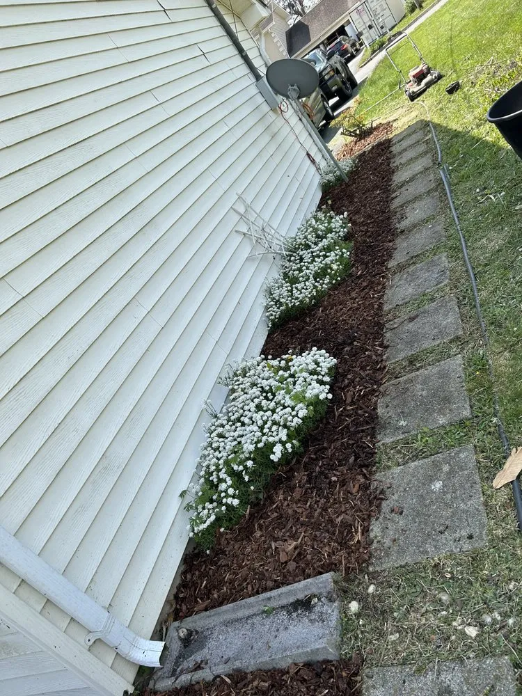 Top-rated yard maintenance in Gray, TN by T’s Landscaping