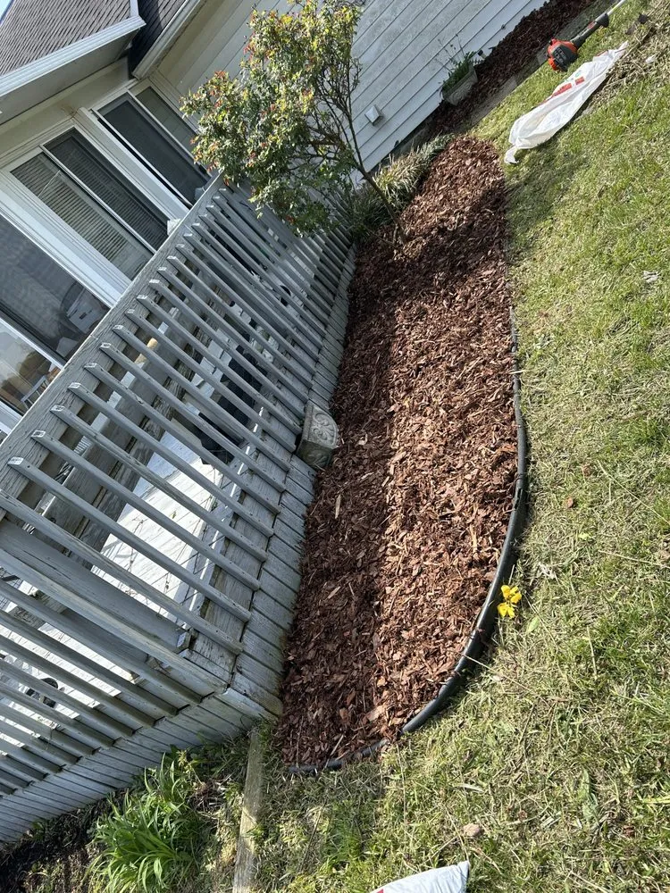 Expert yard cleanup service in Gray, TN by T’s Landscaping