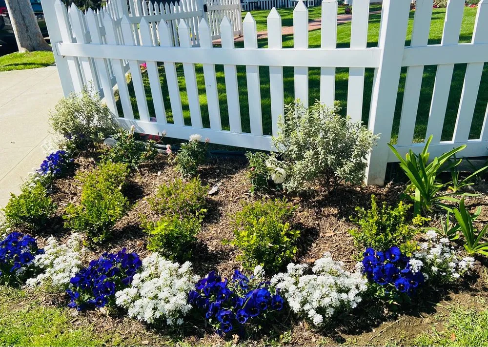 Trusted residential landscaping in Long Beach, CA - TS Landscaping