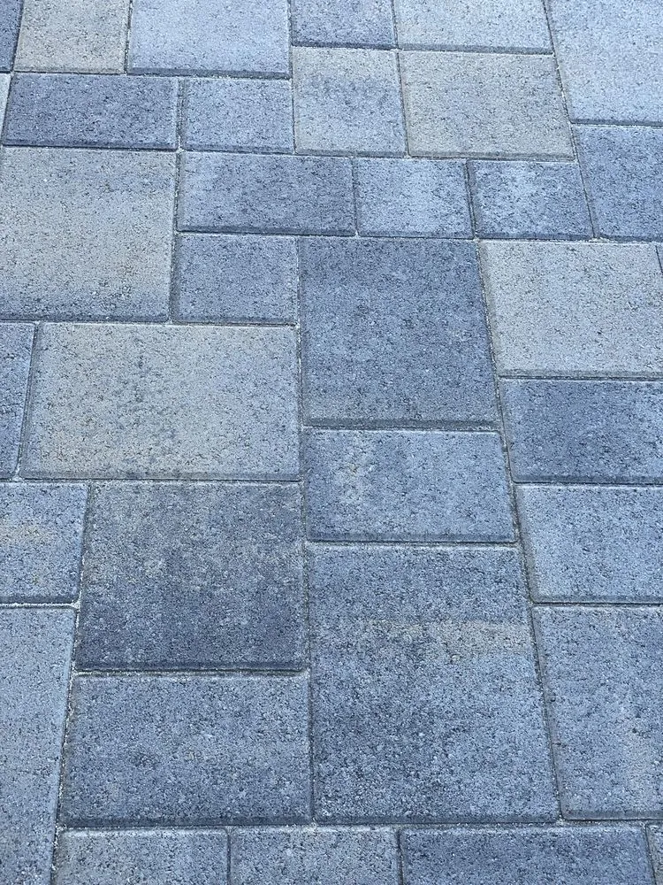 Custom lawn care service near you in Long Beach, CA by TS Landscaping