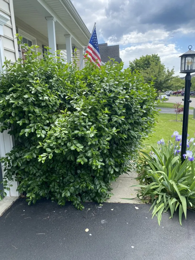 Trusted landscape installation with custom design across Martinsburg, WV - T’s Landscaping