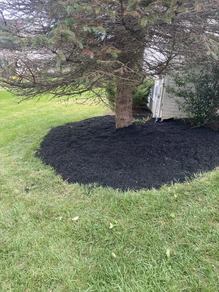 Expert landscaping services for outdoor upgrades across Martinsburg, WV - T’s Landscaping