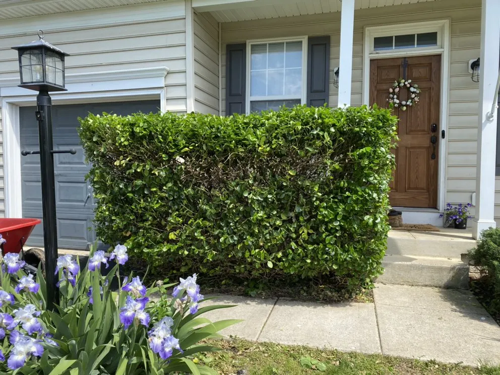 Professional lawn care service in Martinsburg, WV - T’s Landscaping