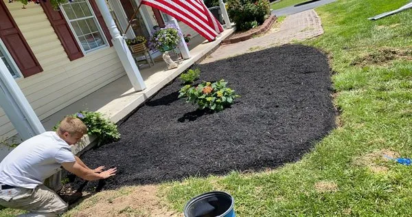 T’s Landscaping Logo