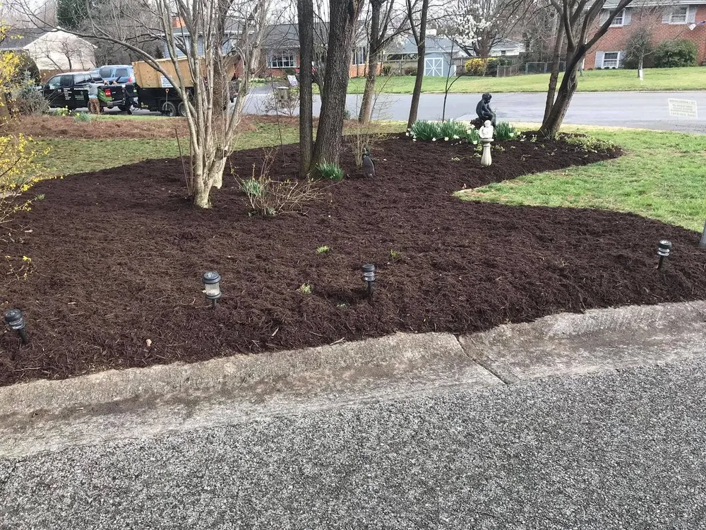 Affordable yard maintenance experts serving Salem, VA - TS Landscaping
