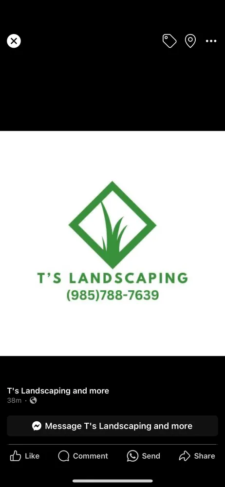 Top-rated yard maintenance experts serving Slidell, LA - T’s Landscaping