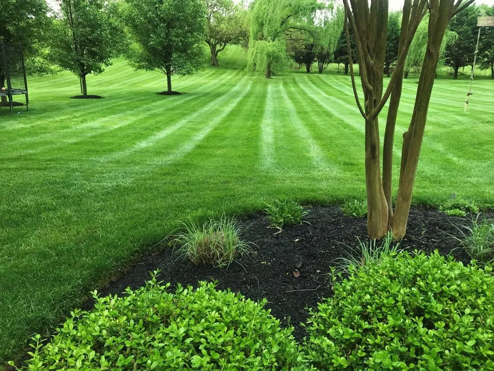 Affordable yard maintenance in Swords Creek, VA - T&S Landscaping