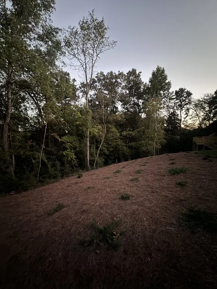 Reliable landscape installation for homes across Lenoir City, TN - T’s Lawn And Landscaping