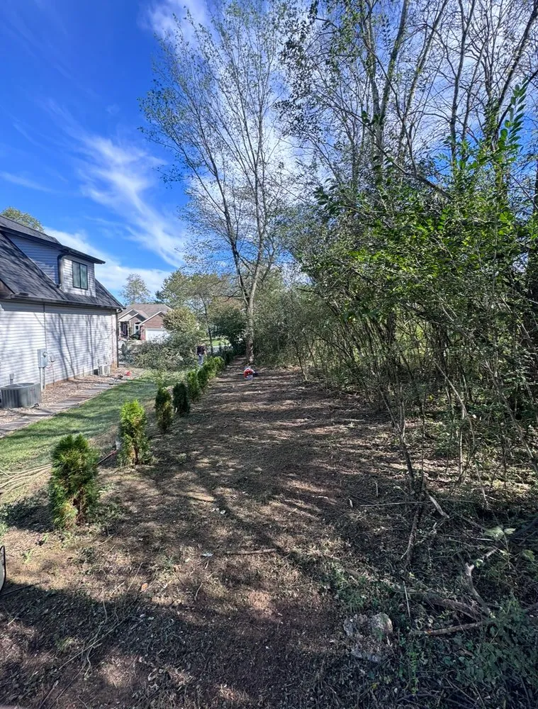 Trusted garden landscaping in Lenoir City, TN - T’s Lawn And Landscaping